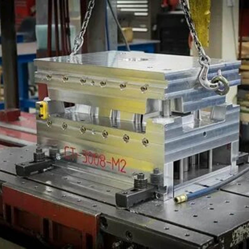 Plastic Bath Toys Injection Mold