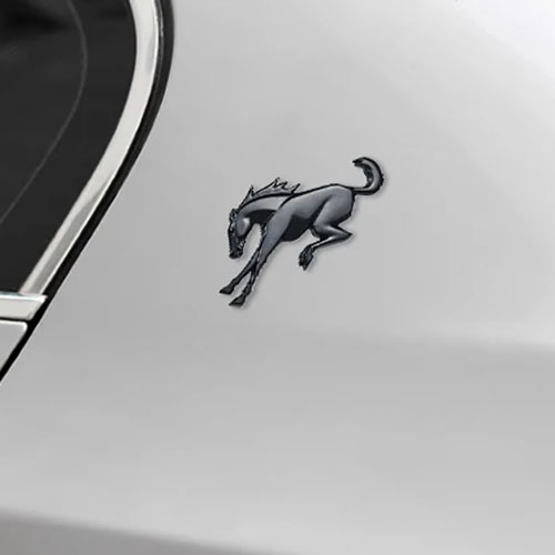 Car Logo Molding