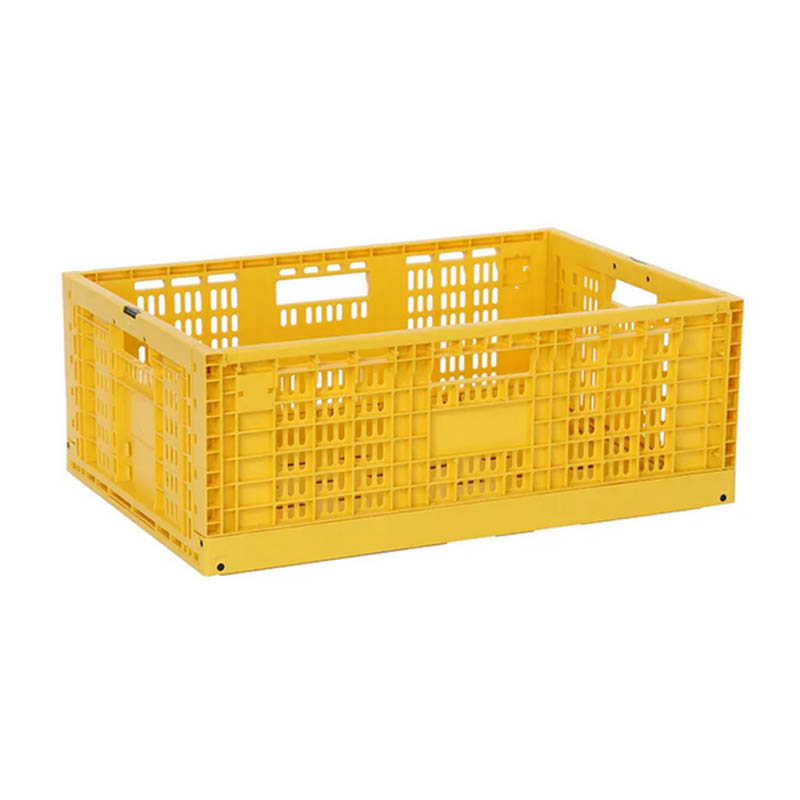 Transport Cage Accessories Mold