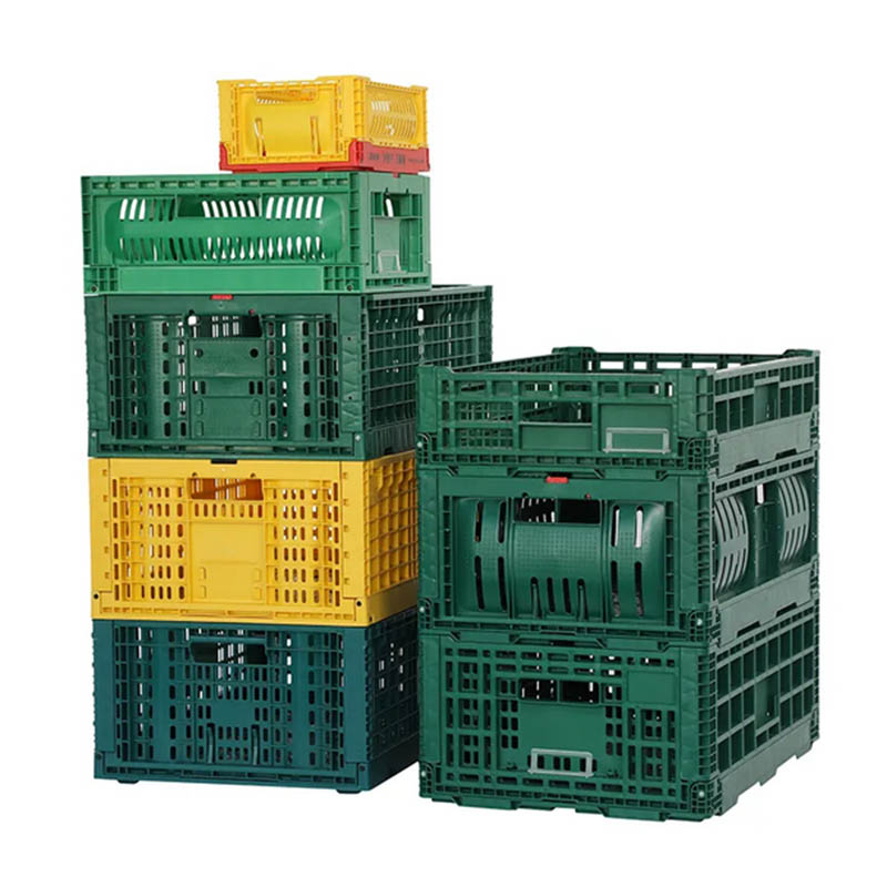 Transport Cage Accessories Mold
